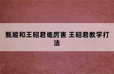 甄姬和王昭君谁厉害 王昭君教学打法